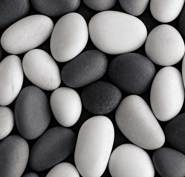 The Neutrals
